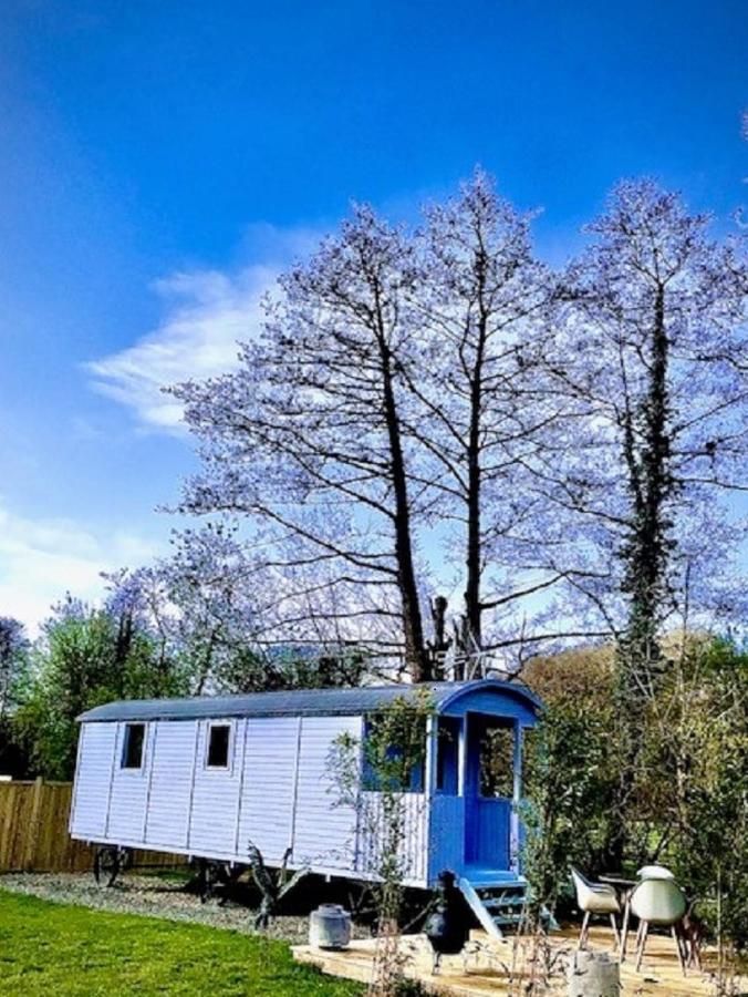 Willow Valley Glamping Bude Exterior foto